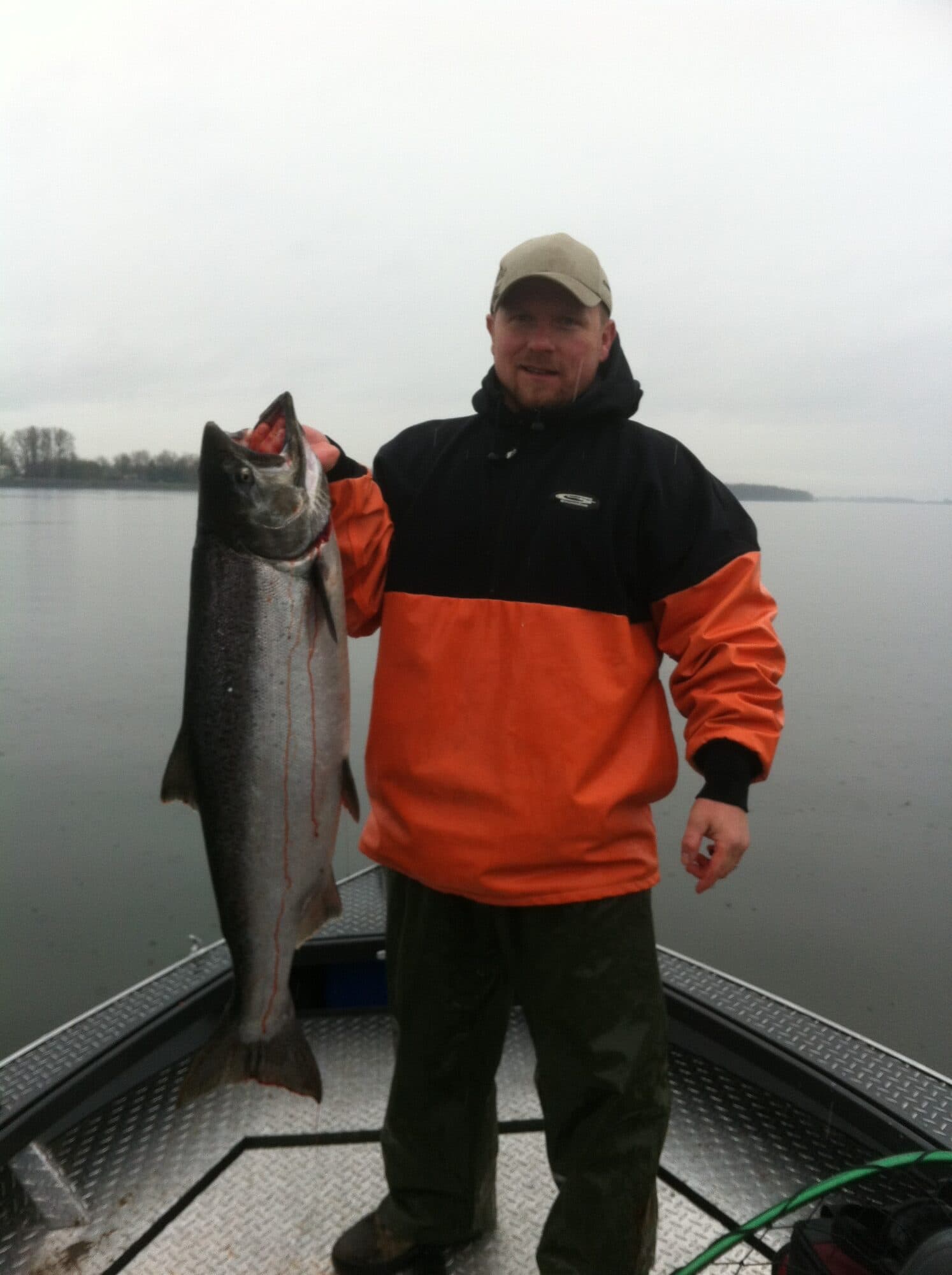 Spring Chinook