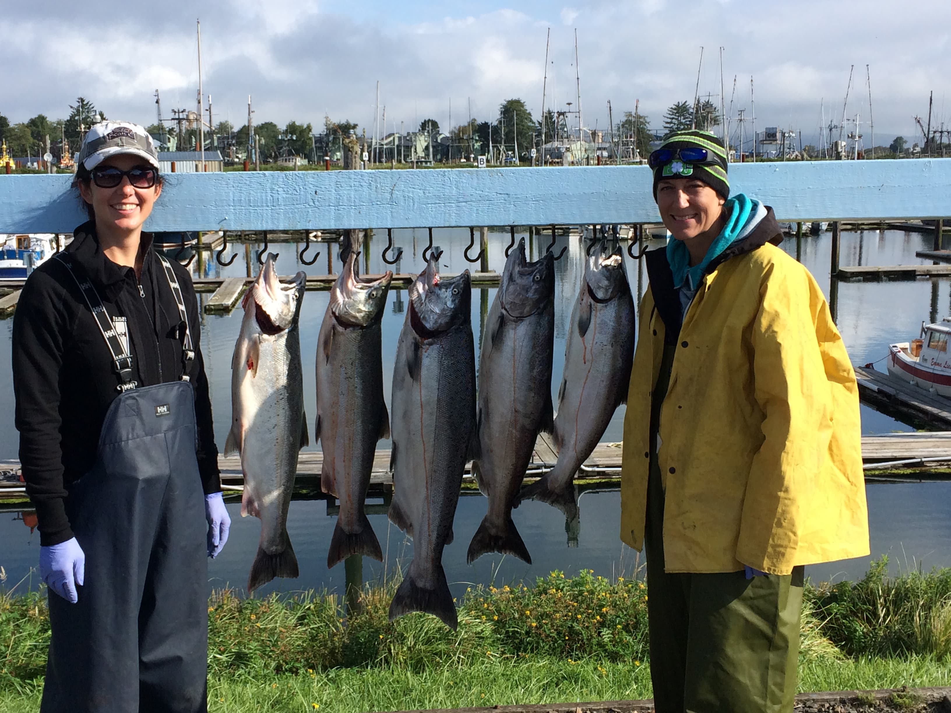 Mixed Coho and Chinook at B10