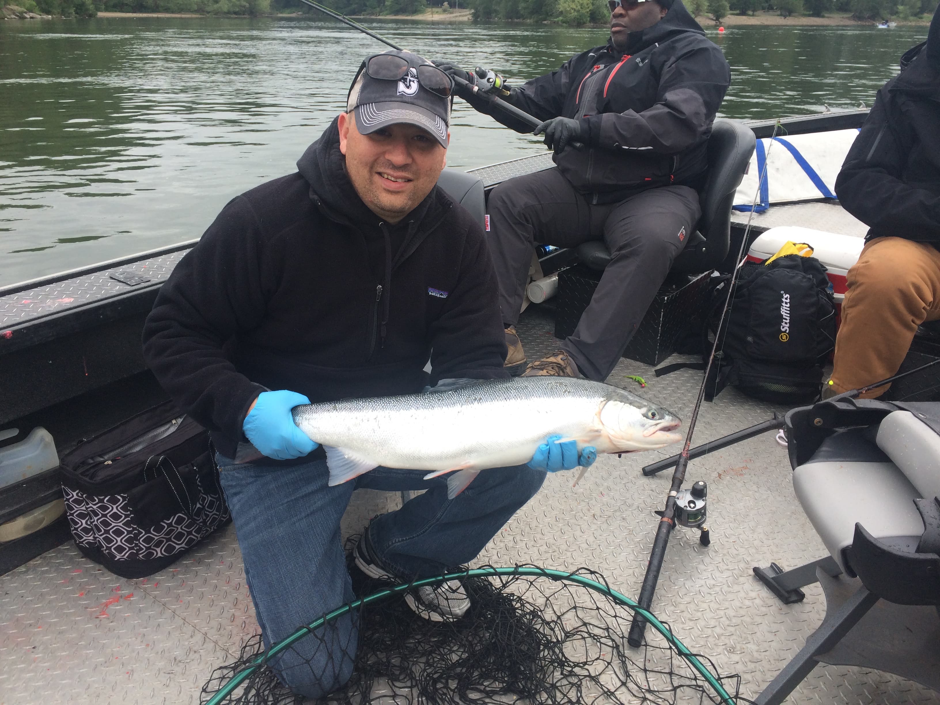 Willamette Summer Steelhead